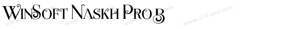 WinSoft Naskh Pro B字体转换